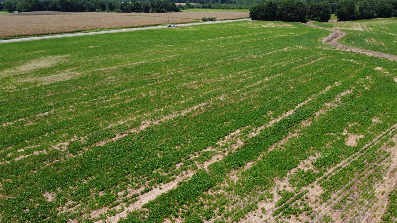 0 Black River Road Photo 17