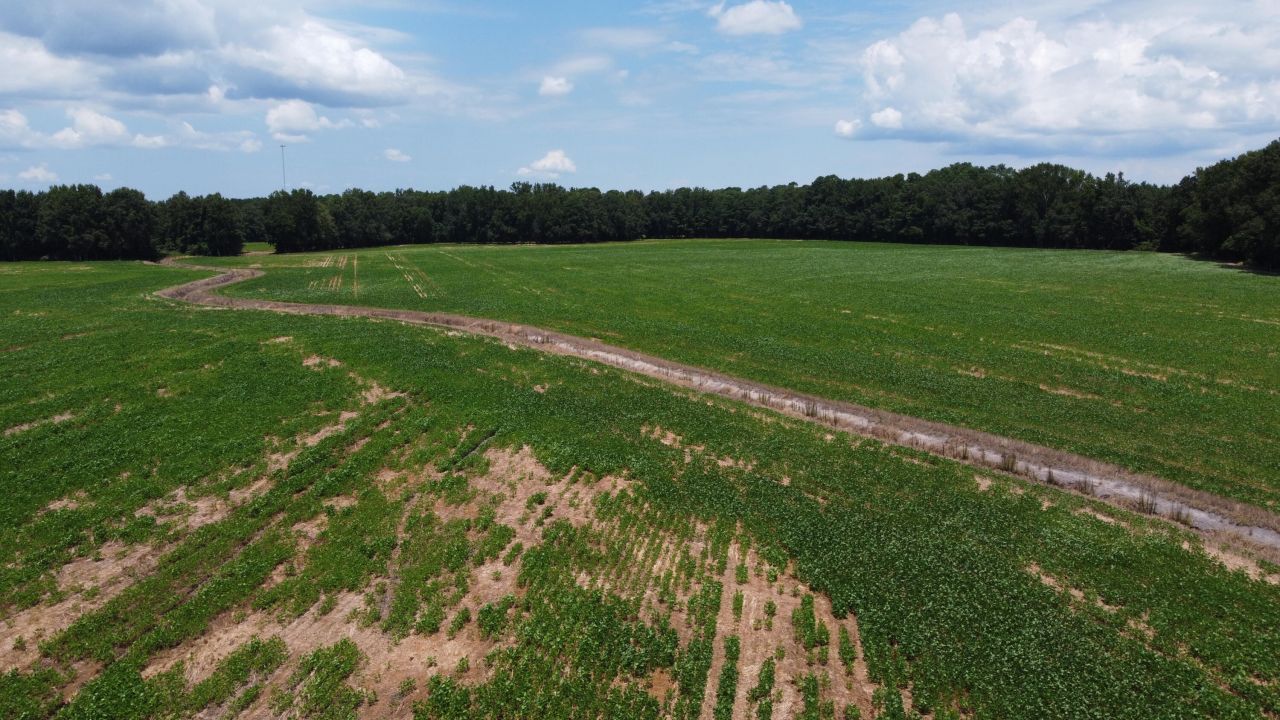 0 Black River Road Photo 18