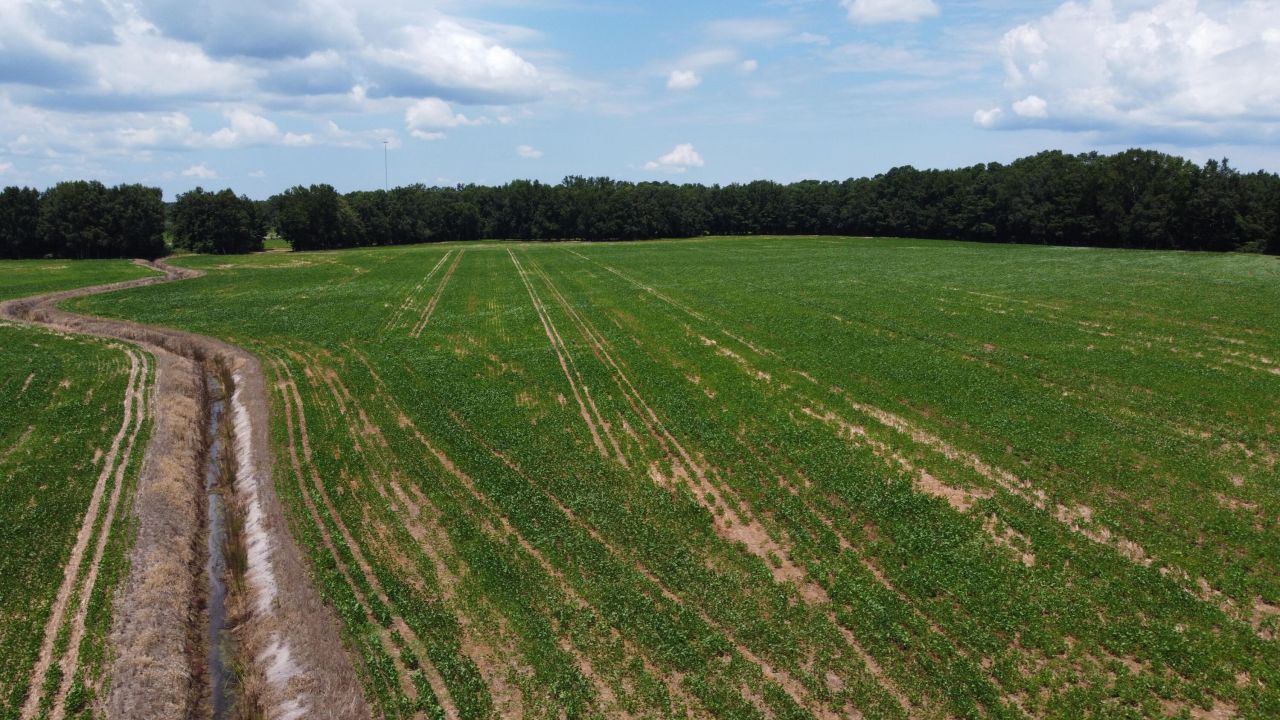 0 Black River Road Photo 20