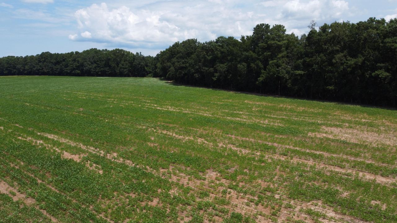 0 Black River Road Photo 21