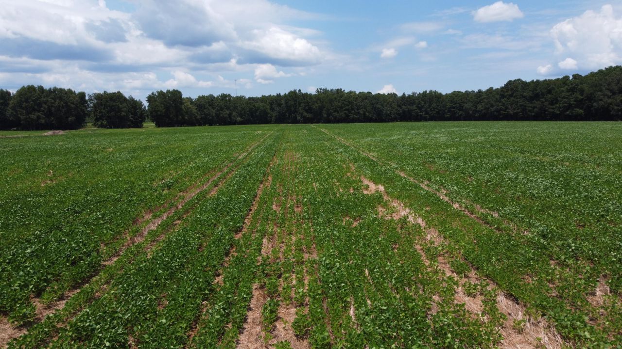 0 Black River Road Photo 22