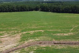 0 Black River Road photo 4