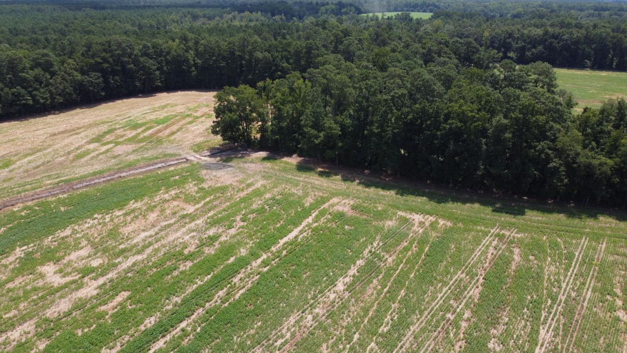 0 Black River Road Photo 5