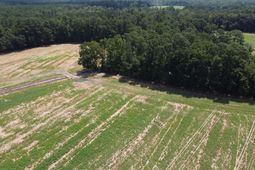 0 Black River Road photo 4