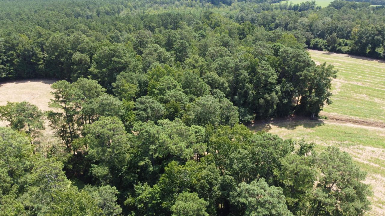 0 Black River Road Photo 7