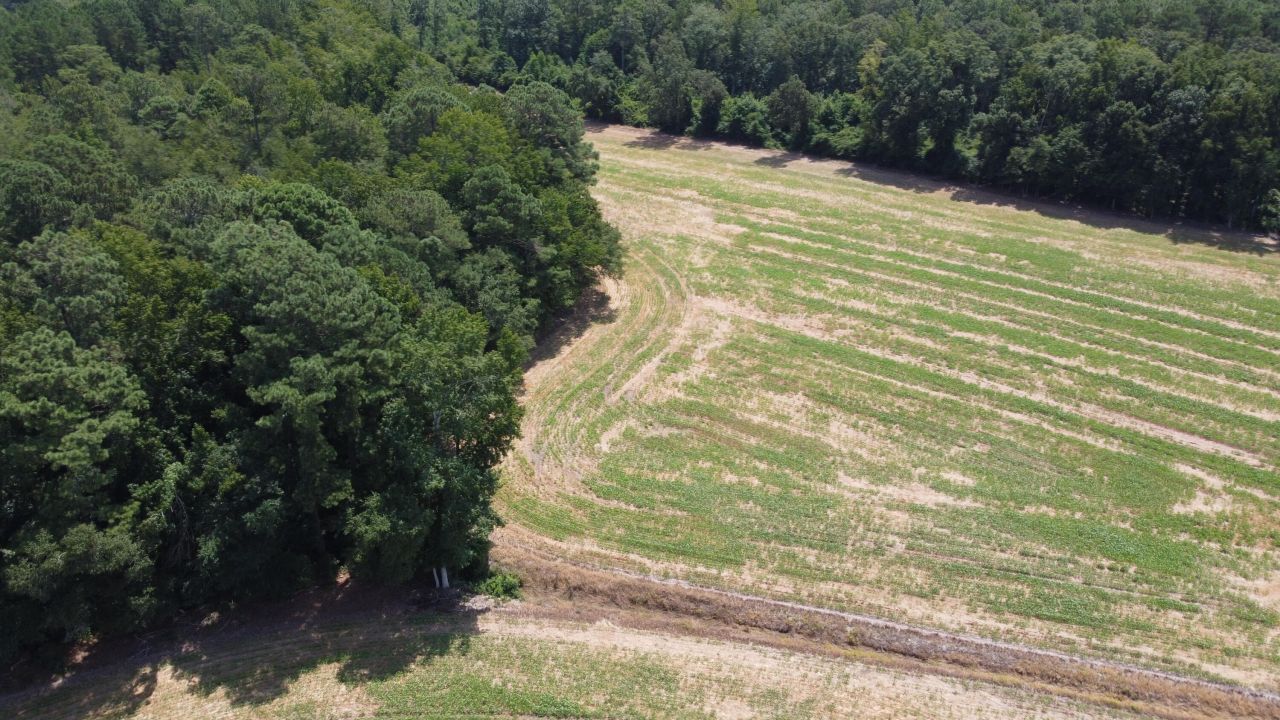 0 Black River Road Photo 9