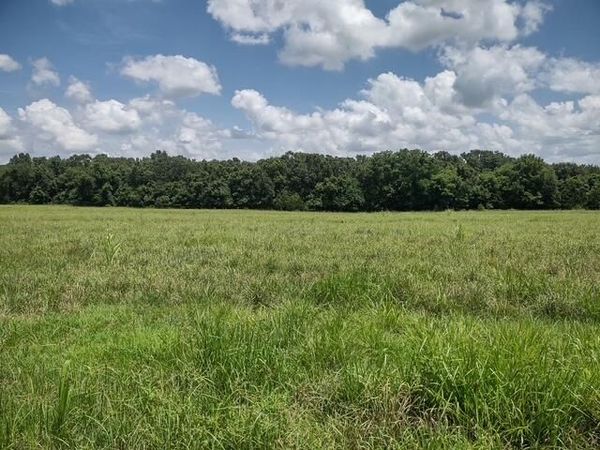 000 Wiseman Road, Marshfield, MO 65706