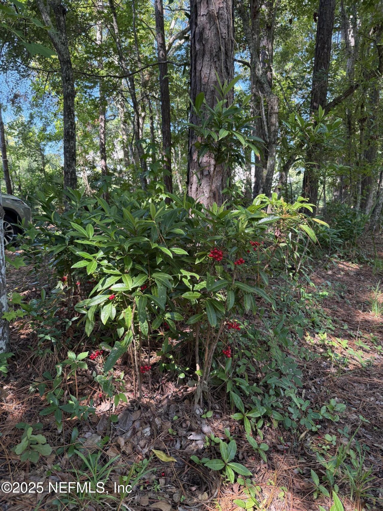 12960 Mandarin Road, Jacksonville, FL 32223 Photo