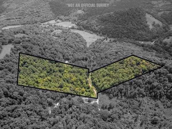 0 Watts Hollow Rd, Buffalo Valley, TN 38548