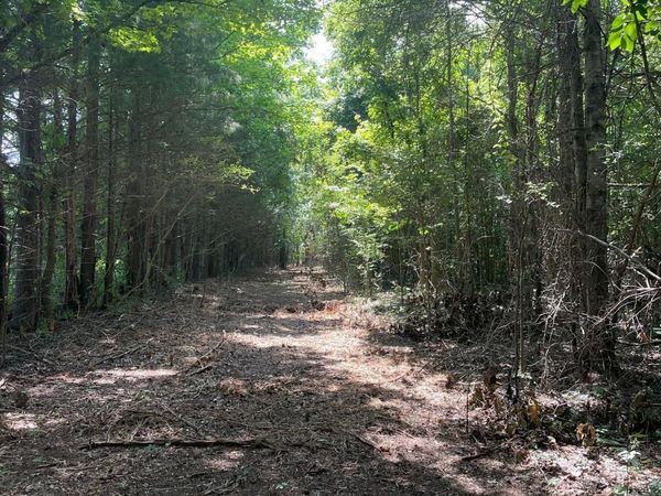 Cleo-Clark Road, Canton, MS 39046