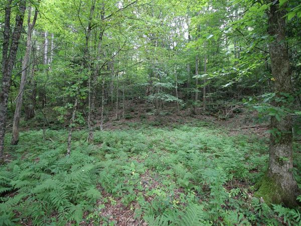 360 Liberty Hill Road, Pittsfield, VT 05762