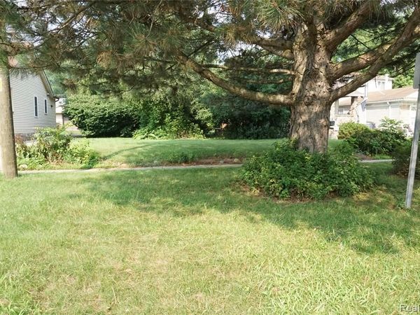 Vacant Lola Drive, Redford Twp, MI 48239