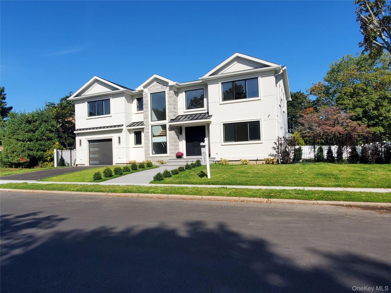 65 Page Lane, Westbury, NY 11590 Main Photo