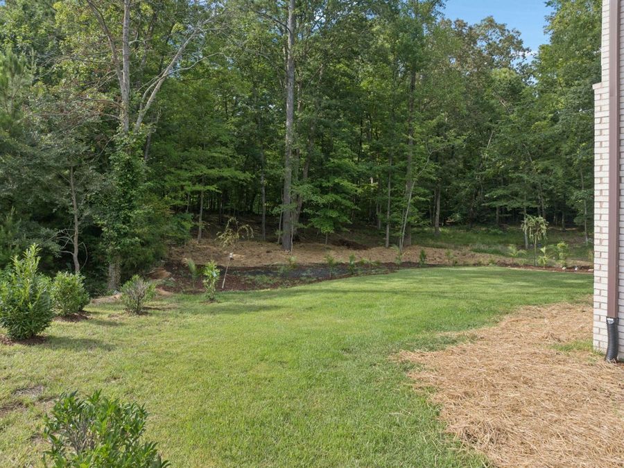 Property Image 104