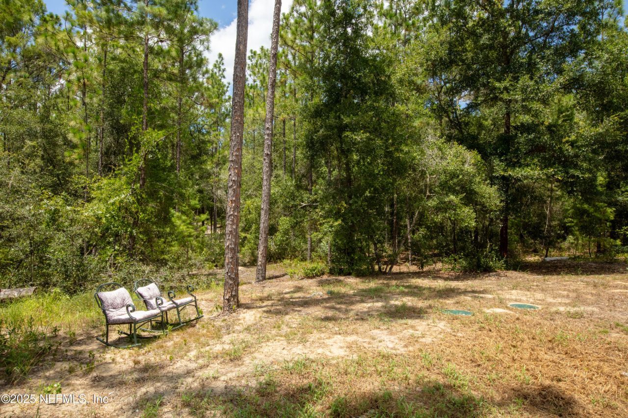 121 Kenny Lane, Florahome, FL 32140 Photo