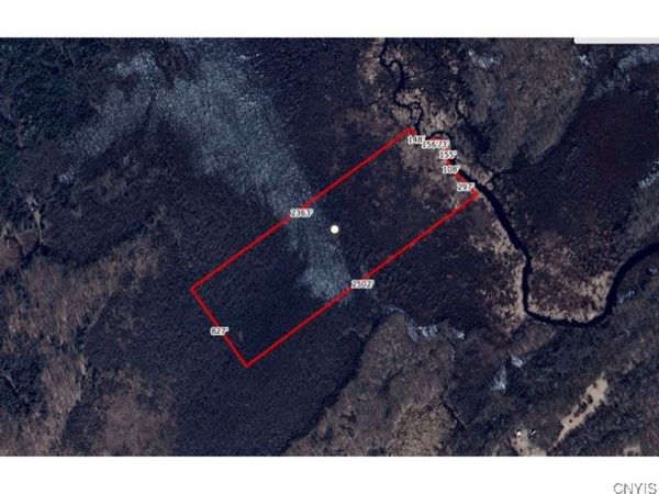 Newcomb Road, De Peyster, NY 13633