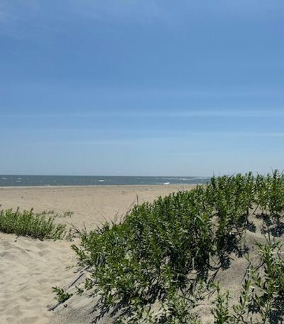 310 Drayton Street Photo 10