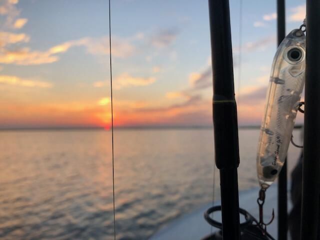 310 Drayton Street Photo 12