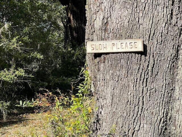 310 Drayton Street Photo 13