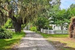 310 Drayton Street photo 4