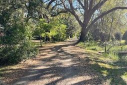 310 Drayton Street photo 4