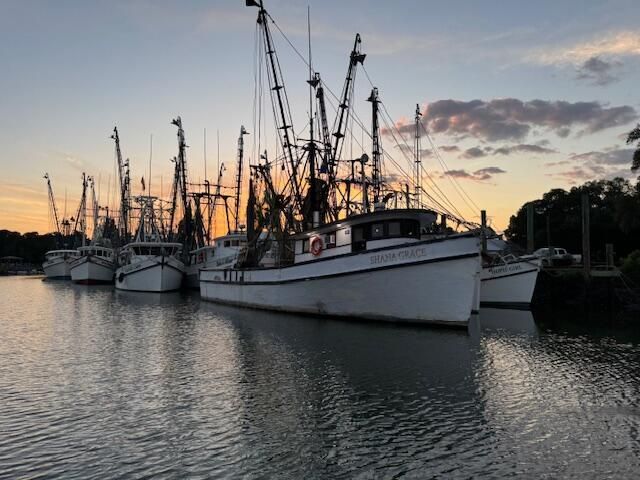 310 Drayton Street Photo 7