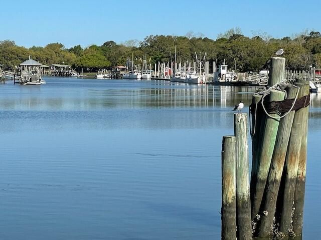 310 Drayton Street Photo 8