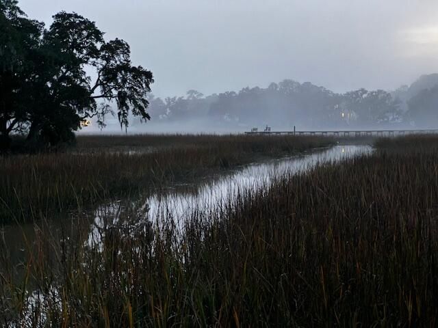 310 Drayton Street Photo 9