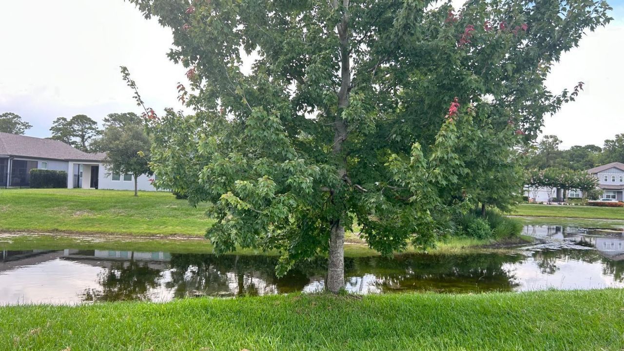 2222 Marsh Sedge Lane, Winter Park, FL 32792 Photo