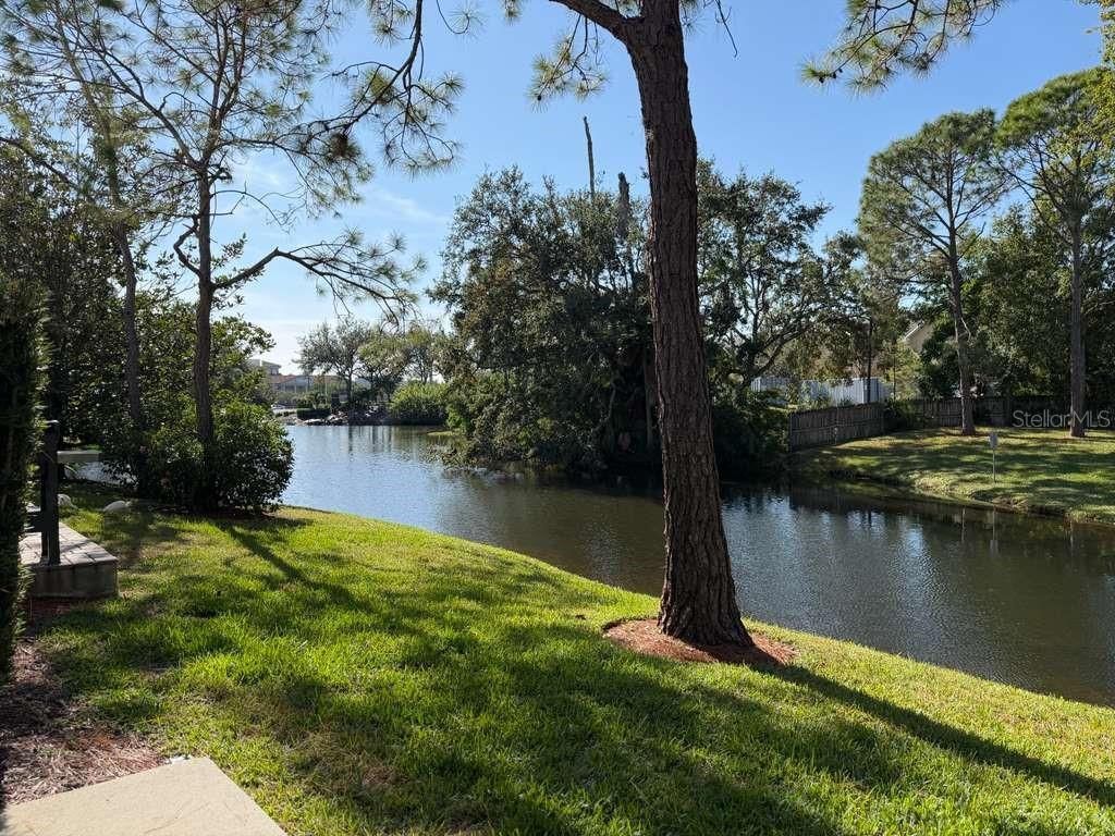 13606 Eagles Walk Drive, Clearwater, FL 33762 Photo