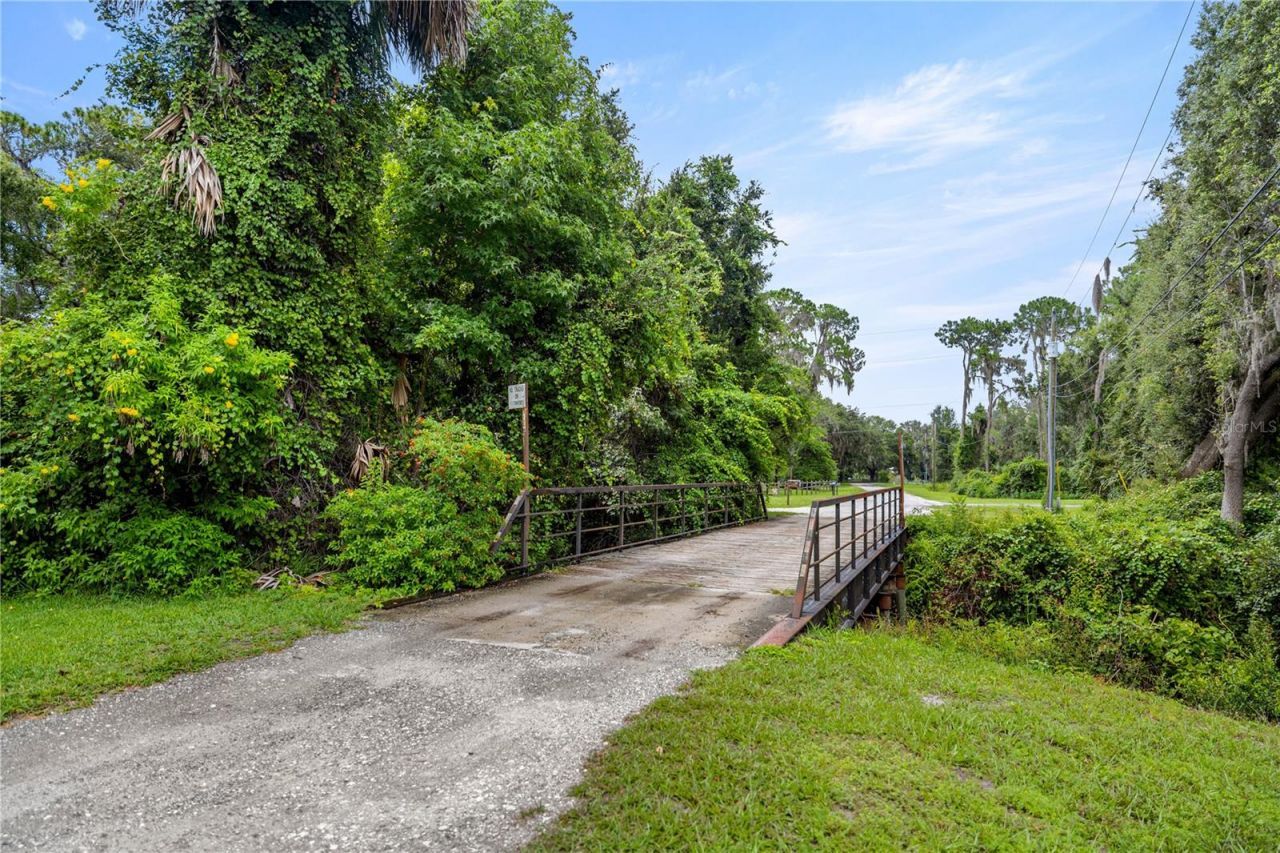 Tbd NE 303rd Court, Salt Springs, FL 32134 Photo