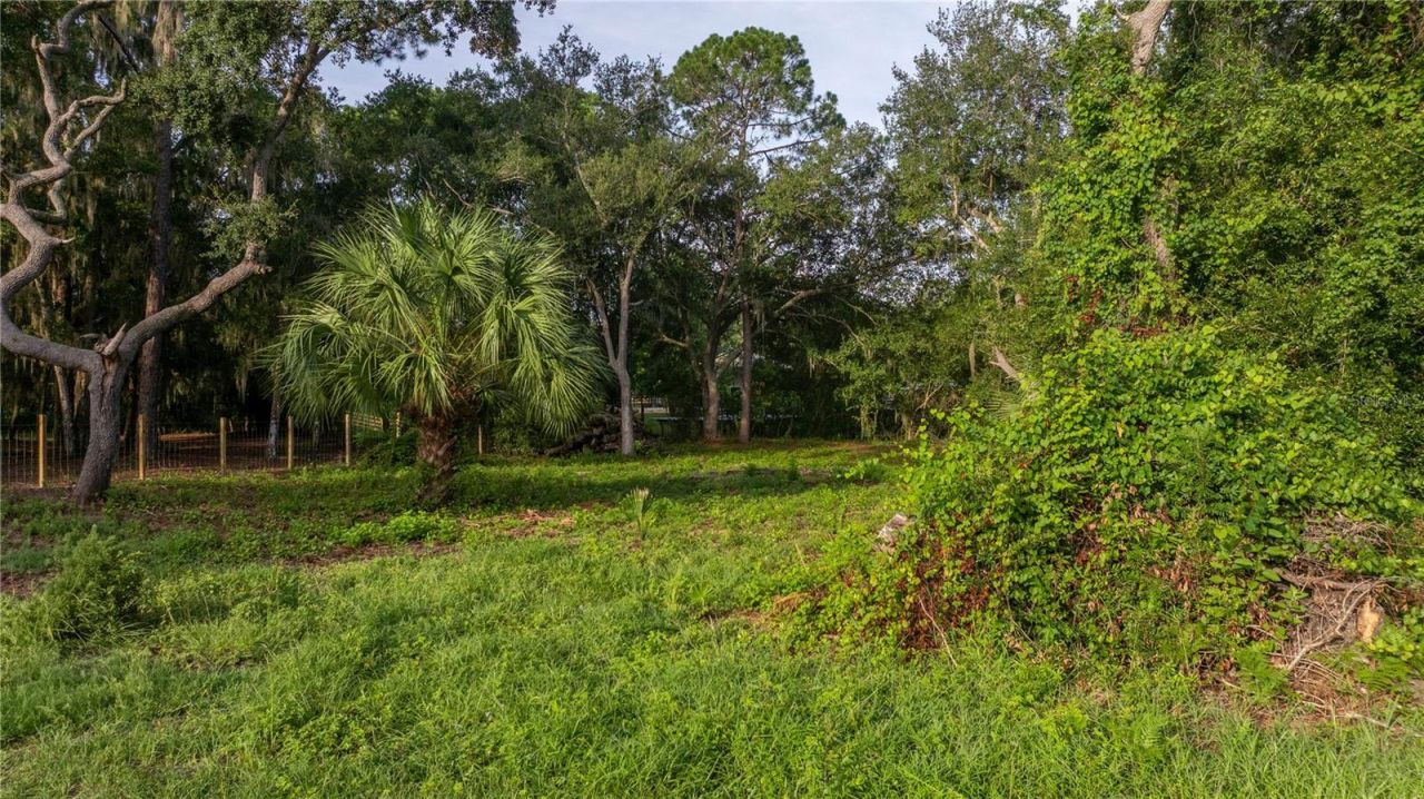 Tbd NE 303rd Court, Salt Springs, FL 32134 Photo