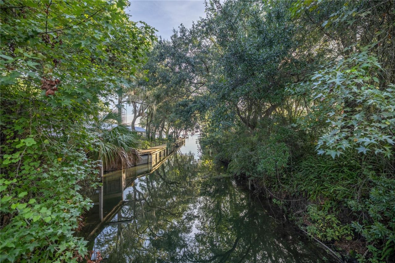 Tbd NE 303rd Court, Salt Springs, FL 32134 Photo