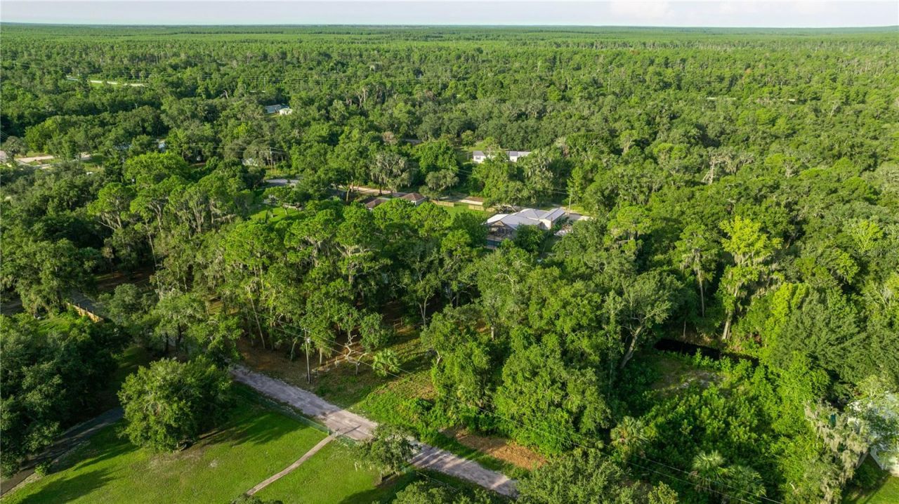 Tbd NE 303rd Court, Salt Springs, FL 32134 Photo