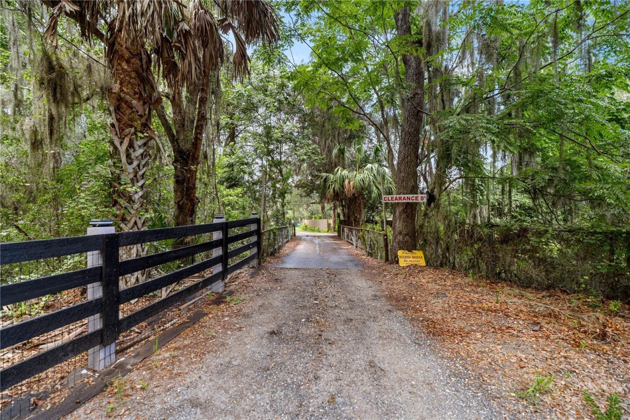 Tbd NE 303rd Court, Salt Springs, FL 32134 Photo