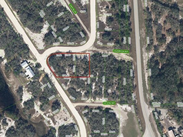 231 LAKELAND DRIVE, LAKE PLACID, FL 33852