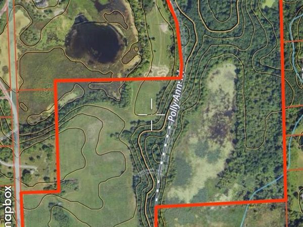 VL S Mill Road, Dryden Twp, MI 48428