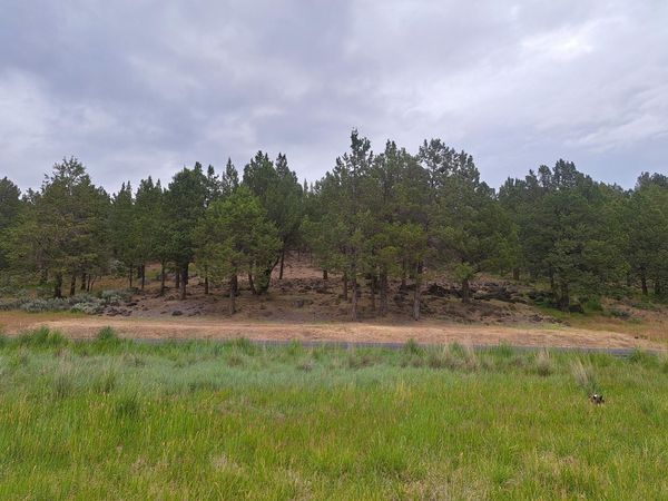 0 Parula Drive, Unit 1151, Klamath Falls, OR 97601