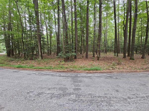 Lot 99 Lancelot Drive, REEDVILLE, VA 22539