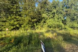 4003 Rowesville Road photo 4