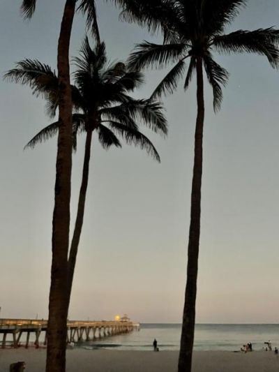 23265 Carolwood Lane, Unit 201, Boca Raton, FL 33428 Photo