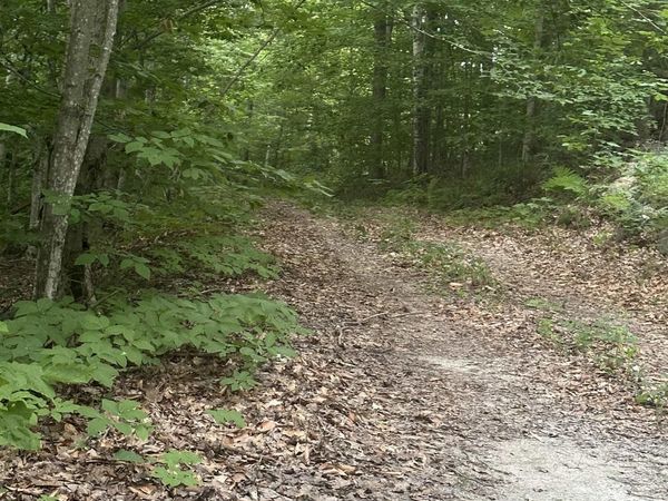 51 Crane View Drive, Salisbury, VT 05769