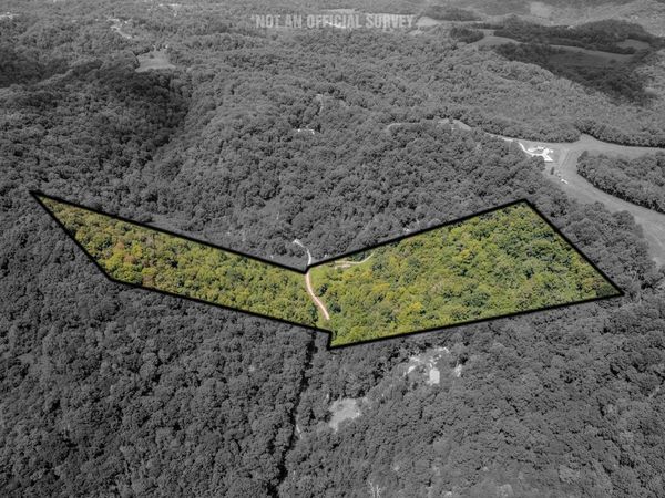 0 Watts Hollow Rd, Buffalo Valley, TN 38548