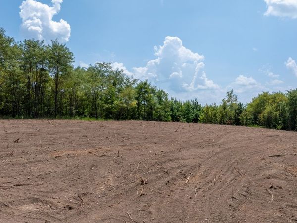 555 New Era Bluff Rd, Linden, TN 37096