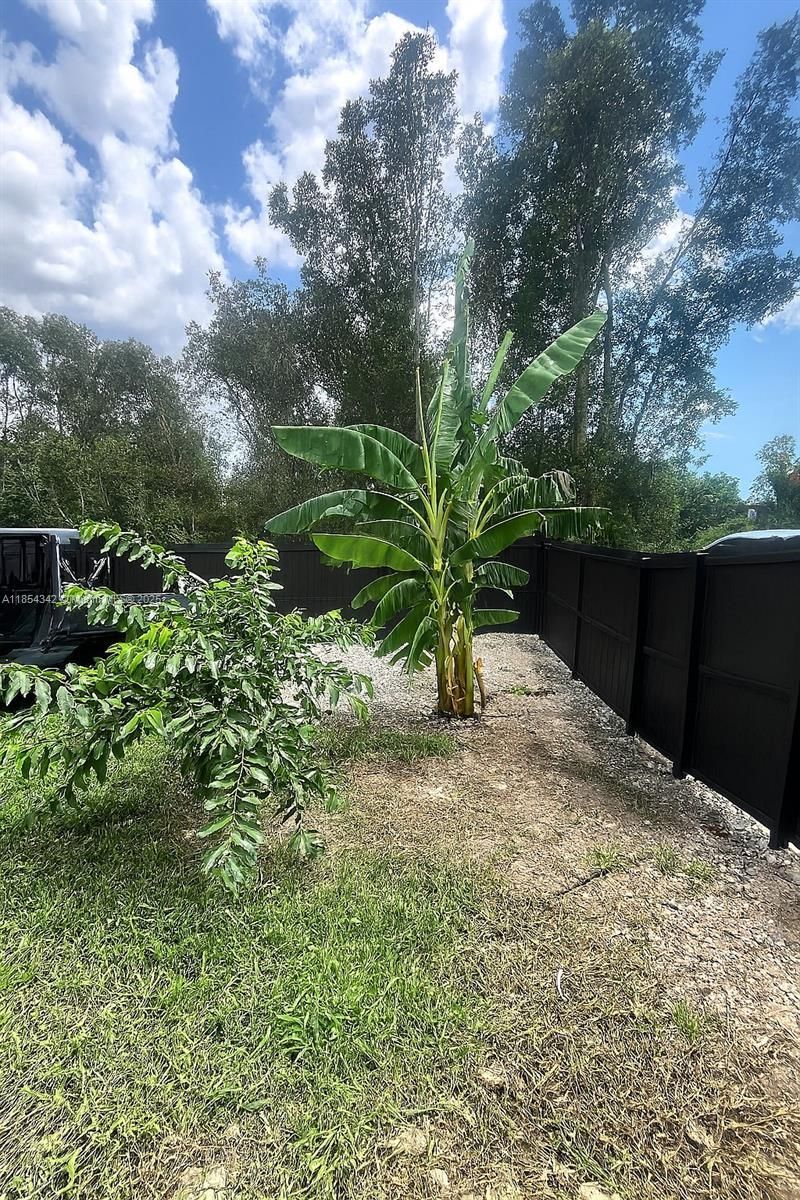 395 Pace Avenue, Lehigh Acres, FL 33974 Photo