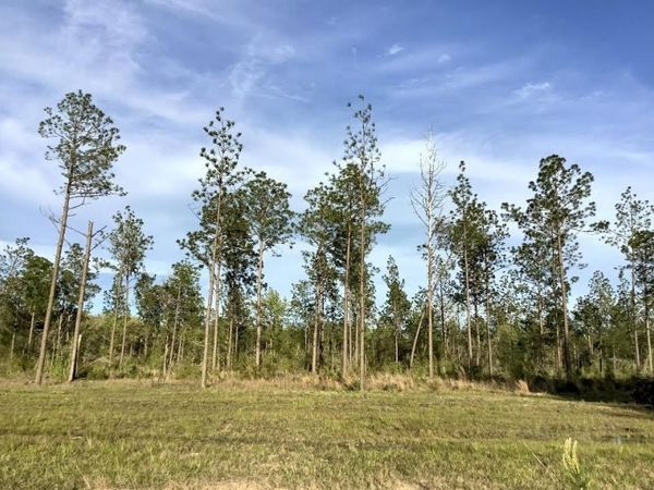 Sandy Loop Tract 2, Merryville, LA 70653