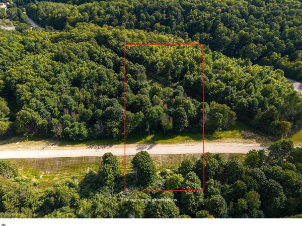 2 Bellinger Road E, Cedar, MI 49621