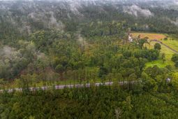 1035 Highway 61 photo 4