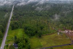 1035 Highway 61 photo 4