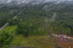 1035 Highway 61 photo 4